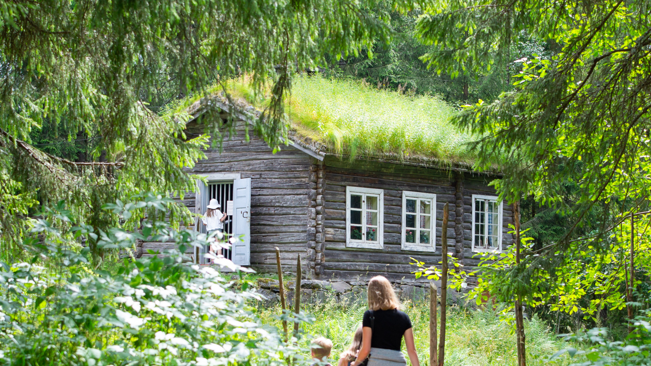 Skolebesøkpåegenhånd