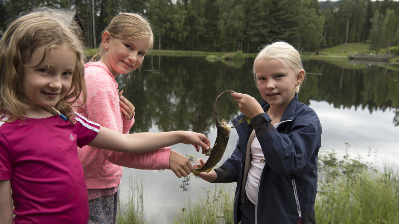 Fisking Foto Damgård